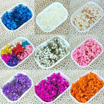 1 Box Baby's Breath Preserved Flower, Epoxy Handmade Crafts DIY Flower Bouquet Garland Candle Making Family Wedding Box Flower Decoration