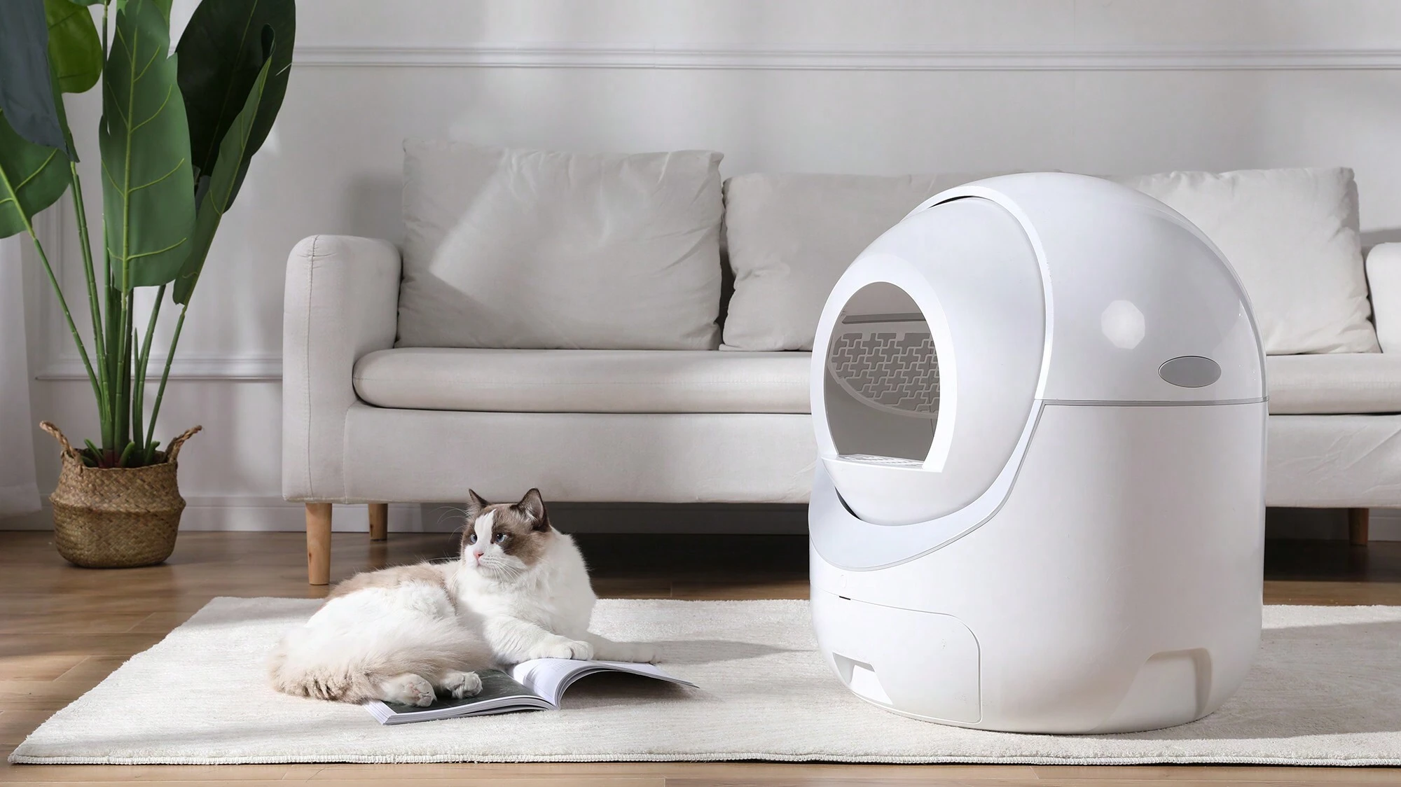 Smart Automatic Cat Litter Box,Automatic Scooping And Odor Removal, App