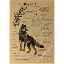 1 件,自然研究红狐/龙/象/凤凰/夜骐/狼/野兔海报印刷品牛皮纸复古家居房间装饰墙画可选框架 - 彩色 - 查看 27