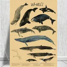 1 件,自然研究红狐/龙/象/凤凰/夜骐/狼/野兔海报印刷品牛皮纸复古家居房间装饰墙画可选框架 - 彩色 - 查看 35