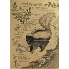 1 件,自然研究红狐/龙/象/凤凰/夜骐/狼/野兔海报印刷品牛皮纸复古家居房间装饰墙画可选框架 - 彩色 - 查看 17