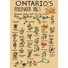 1 件,自然研究红狐/龙/象/凤凰/夜骐/狼/野兔海报印刷品牛皮纸复古家居房间装饰墙画可选框架 - 彩色 - 查看 34