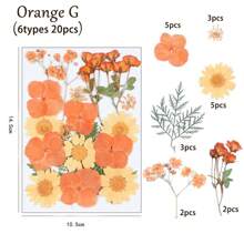 20/30/34/37/40 piezas Kit de materiales DIY de serie naranja de Halloween estampados - Posavasos de resina, pendientes, pulseras, brazaletes de resina, atrapa sueños, marcos de fotos, decoración de pared, pantallas de lámparas, abanicos, flores secas, flores de jabón, tarjetas, espejos estampados, marcapáginas, suministros de manualidades DIY