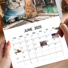 City Cat Calendar 2025 12 Month Calendar - Multicolor - View 2