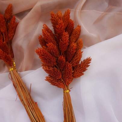Buquê de flores secas de capim-dos-pampas, 50/100 peças, 16,5 polegadas, vermelho-marrom e laranja, capim-dos-pampas seco natural, fofo e macio, adequado para decoração de casa, casamento, mesa de jantar, Halloween, Páscoa, Ação de Graças e presentes de formatura, aniversário, decoração de outono, outono