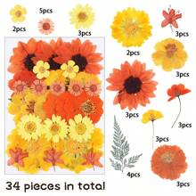 20/30/34/37/40 piezas Kit de materiales DIY de serie naranja de Halloween estampados - Posavasos de resina, pendientes, pulseras, brazaletes de resina, atrapa sueños, marcos de fotos, decoración de pared, pantallas de lámparas, abanicos, flores secas, flores de jabón, tarjetas, espejos estampados, marcapáginas, suministros de manualidades DIY