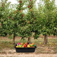 Anbers 4 Packs 35 L Commercial Bus Tubs Box/Tote Box, Plastic Utility Basin Tub, Black - Black - View 6