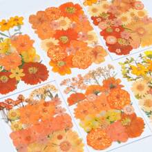 20/30/34/37/40 piezas Kit de materiales DIY de serie naranja de Halloween estampados - Posavasos de resina, pendientes, pulseras, brazaletes de resina, atrapa sueños, marcos de fotos, decoración de pared, pantallas de lámparas, abanicos, flores secas, flores de jabón, tarjetas, espejos estampados, marcapáginas, suministros de manualidades DIY