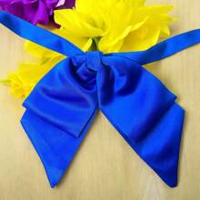 Women Ties - Royal Blue - View 2