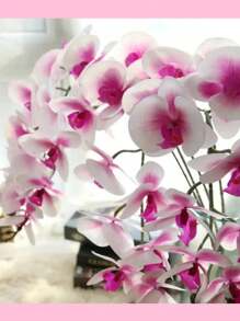 Kit 3 Pieza Orquídea Flores Artificial De Tacto Real, Flores Falsas De Plástico PaDecoración Del Hogar, Oficina, Boda, Centro De Mesa De Mesa De Florerora - Multicolor - Ver 6