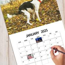 2025 Wall Calendar - Dogs Pooping In Beautiful Places Calendar 2025 Monthly Wall Calender 12 Month - Multicolor - View 6