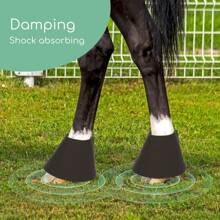 Nobleza - Campanas para Caballos, Campanas de Saltar de Neopreno, Protección para Pezuñas para Equitación (Negro) - Negro - Ver 3