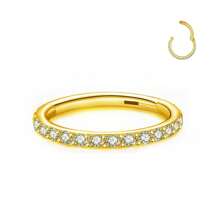 1PC 16G Clear CZ Lip Ring Hoop Stainless Steel Hypoallergenic Black Cubic Zirconia Hinged Segment Nose Ring 18K Gold Plated Cartilage Hoop Rook Tragus Rings Hoops Conch Daith Helix Earrings Piercing Jewelry 6mm 8mm 10mm Earlobe Earring Belly Ring Nipple Ring Decoration Women And Men Body Pierecing Jewelry - N023 - View 20