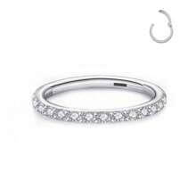 1PC 16G Clear CZ Lip Ring Hoop Stainless Steel Hypoallergenic Black Cubic Zirconia Hinged Segment Nose Ring 18K Gold Plated Cartilage Hoop Rook Tragus Rings Hoops Conch Daith Helix Earrings Piercing Jewelry 6mm 8mm 10mm Earlobe Earring Belly Ring Nipple Ring Decoration Women And Men Body Pierecing Jewelry - N023 - View 14