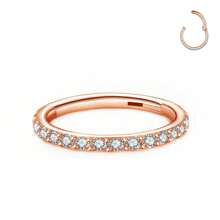 1PC 16G Clear CZ Lip Ring Hoop Stainless Steel Hypoallergenic Black Cubic Zirconia Hinged Segment Nose Ring 18K Gold Plated Cartilage Hoop Rook Tragus Rings Hoops Conch Daith Helix Earrings Piercing Jewelry 6mm 8mm 10mm Earlobe Earring Belly Ring Nipple Ring Decoration Women And Men Body Pierecing Jewelry - N023 - View 13