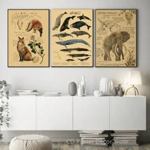 1 件,自然研究红狐/龙/象/凤凰/夜骐/狼/野兔海报印刷品牛皮纸复古家居房间装饰墙画可选框架 - 彩色 - 查看 5