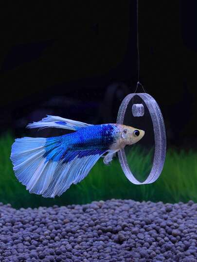 1 pieza Espejo bidireccional de acrílico para adiestramiento de pez Betta