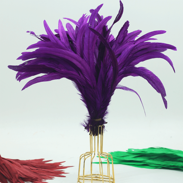 10-30pcs 25-30cm Rooster Tail Feathers For Crafts, Clothing Accessories, Headdress, Party, Stage Performance, DIY Handmade Decorations