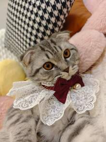 带蝴蝶结的蕾丝宠物项圈，优雅的绿色、红色、蓝色和粉色，适合狗和猫，实物拍摄，节日优雅的宠物用品 - 彩色 - 查看 8