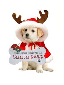 1 pieza/200 piezas Señal de madera con forma de hueso de perro para colgar en la pared en Navidad para decoración de fiesta, Esta casa cree en Santa Patas, señal de madera de perro para decoración navideña del hogar y la puerta - Multicolor - Ver 4