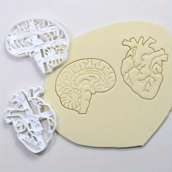 Halloween Human Organ Biscuit Stamp Set-Brain And Heart Shape, White Plastic Embossing Tool, Suitable For Baking And Kitchen Decoration. Halloween Halloween Decor Halloween Decorations Halloween Home Halloween Party Halloween Party