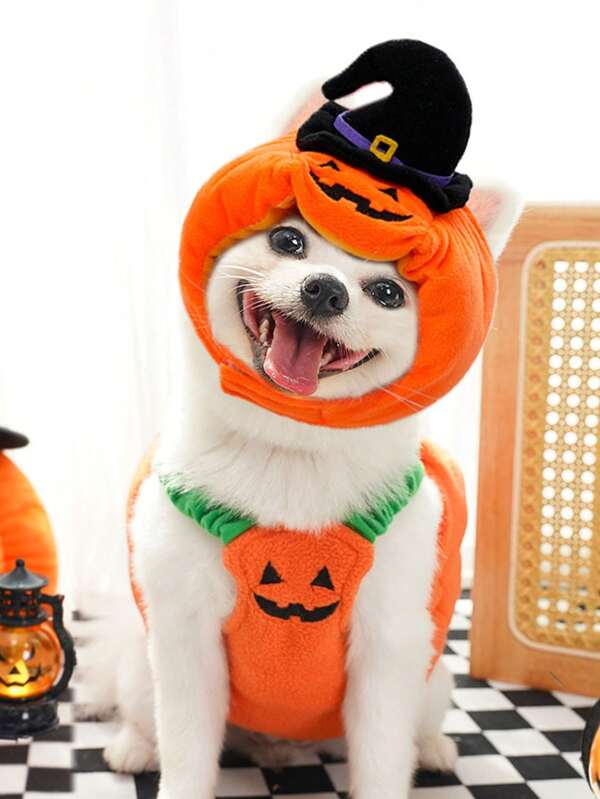 1 pieza Ropa y sombreros divertidos de calabazas de Halloween y Navidad para mascotas (gatos y perros) en otoño e invierno