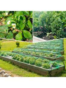 Green Anti-Bird Net, Fruit & Vegetable Protection Net, Pest Control Net, Grape Protective Net, Fish Pond Cover, Large Greenhouse Nylon - Multicolor - View 6