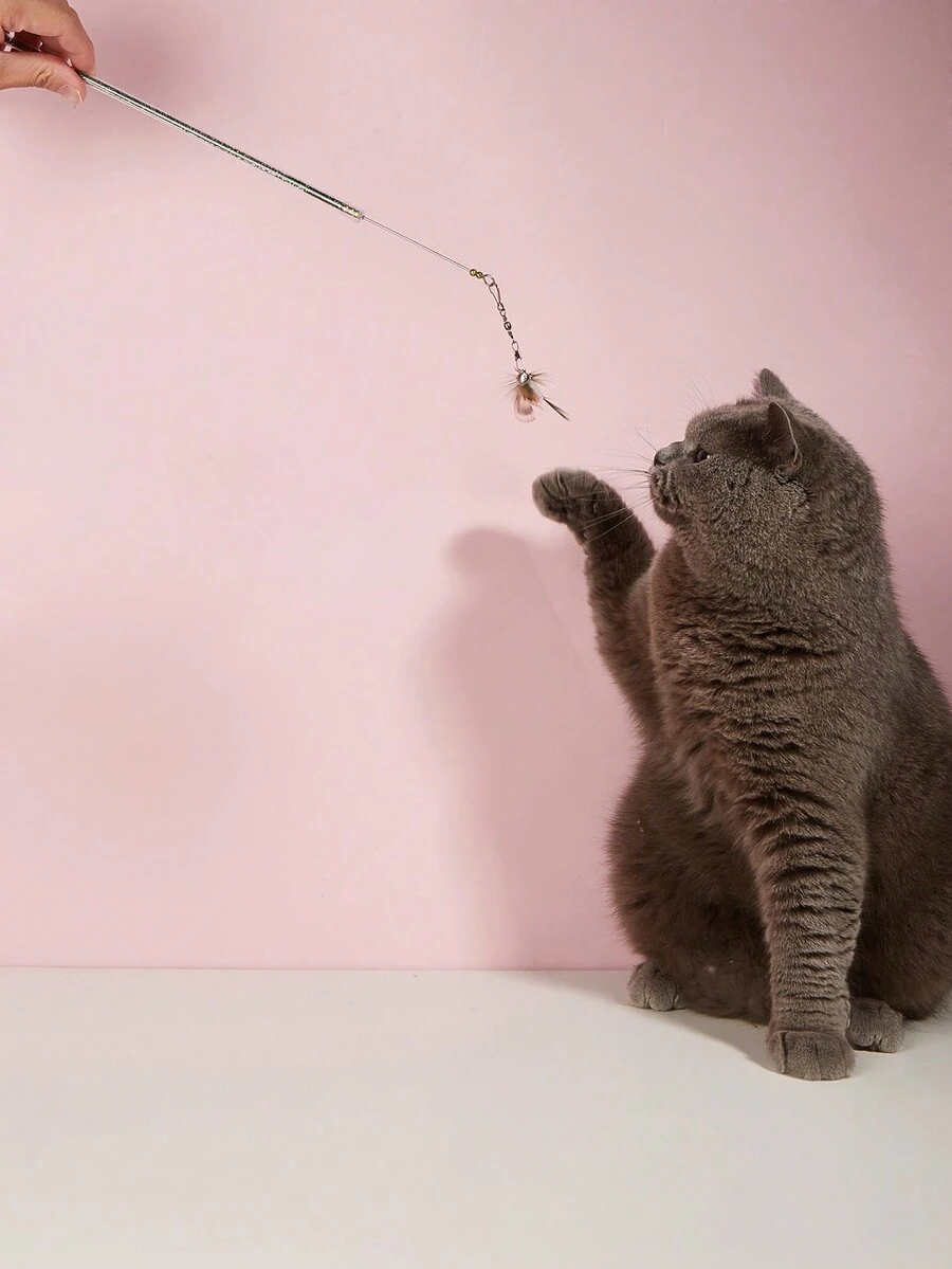 1pc Retractable Cat Feather Teasing Wand Toy - Multicolor - View 1