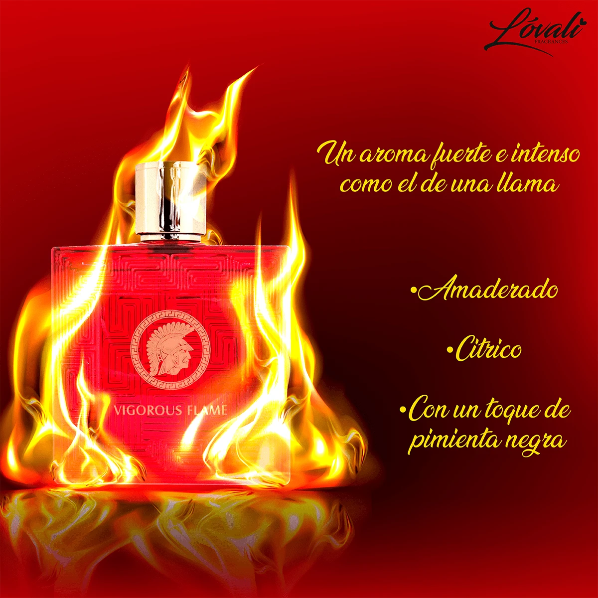 VIGOROUS FLAME 100MLWARM AND SPICY Men's Perfume, A Men's Perfume Presented In A High-End Gift Box Suitable For Giving As A Gift - Red - View 1
