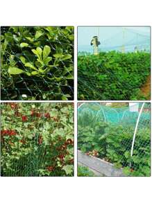 Green Anti-Bird Net, Fruit & Vegetable Protection Net, Pest Control Net, Grape Protective Net, Fish Pond Cover, Large Greenhouse Nylon - Multicolor - View 8