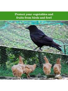 Green Anti-Bird Net, Fruit & Vegetable Protection Net, Pest Control Net, Grape Protective Net, Fish Pond Cover, Large Greenhouse Nylon - Multicolor - View 9