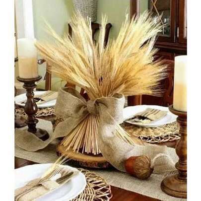 50 Trigos Secos 40CM Decoração Fardos Decoração Festas Casamentos