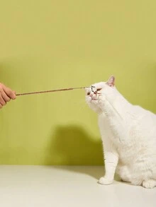 1pc Retractable Cat Feather Teasing Wand Toy - Multicolor - View 10