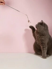 1pc Retractable Cat Feather Teasing Wand Toy - Multicolor - View 11