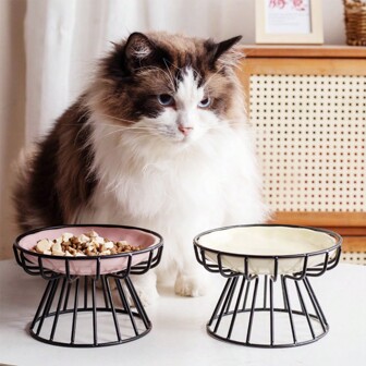 shuo ni mao yi Ceramic Pet Bowl  Cat Food Bowl High Foot Iron Frame Anti Knock Neck Protection Cat Bowl  Cat Food Bowl  Kitten Plate Wholesale