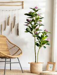 Árbol artificial de higuera de 80/120 cm de estilo tropical, plantas falsas grandes de ramas de higuera baniana de plástico, hojas de magnolia al tacto real, planta de palma falsa para decoración del hogar y jardín, sin maceta, 1 pieza, Regalo del Día de San Valentín