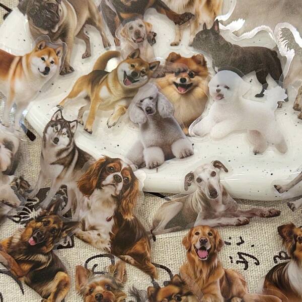 50pcs Dog Collection Sticker Pack Waterproof Transparent PET Hand Account Material Decorative Guitar Notebook DIY Stickers Back To School
