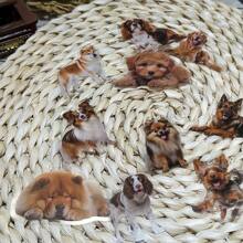 50pcs Dog Collection Sticker Pack Waterproof Transparent PET Hand Account Material Decorative Guitar Notebook DIY Stickers Back To School