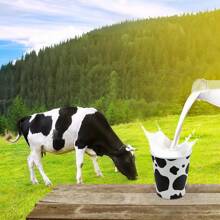 50/30/10PCS Cow Cup Disposable Paper Snack Cups 9 Oz Western Cowboy Cow Print Cups Cow Theme Party Decorations Thickened Espresso Cup For Birthday Party Favor Supplies Western,Cow Print,Country,Western Cow,Country Western,Themed Cups