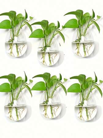 创意水培花瓶 水培植物容器 壁挂花瓶 桌面装饰花盆 适用于办公室、书房、客厅、卧室