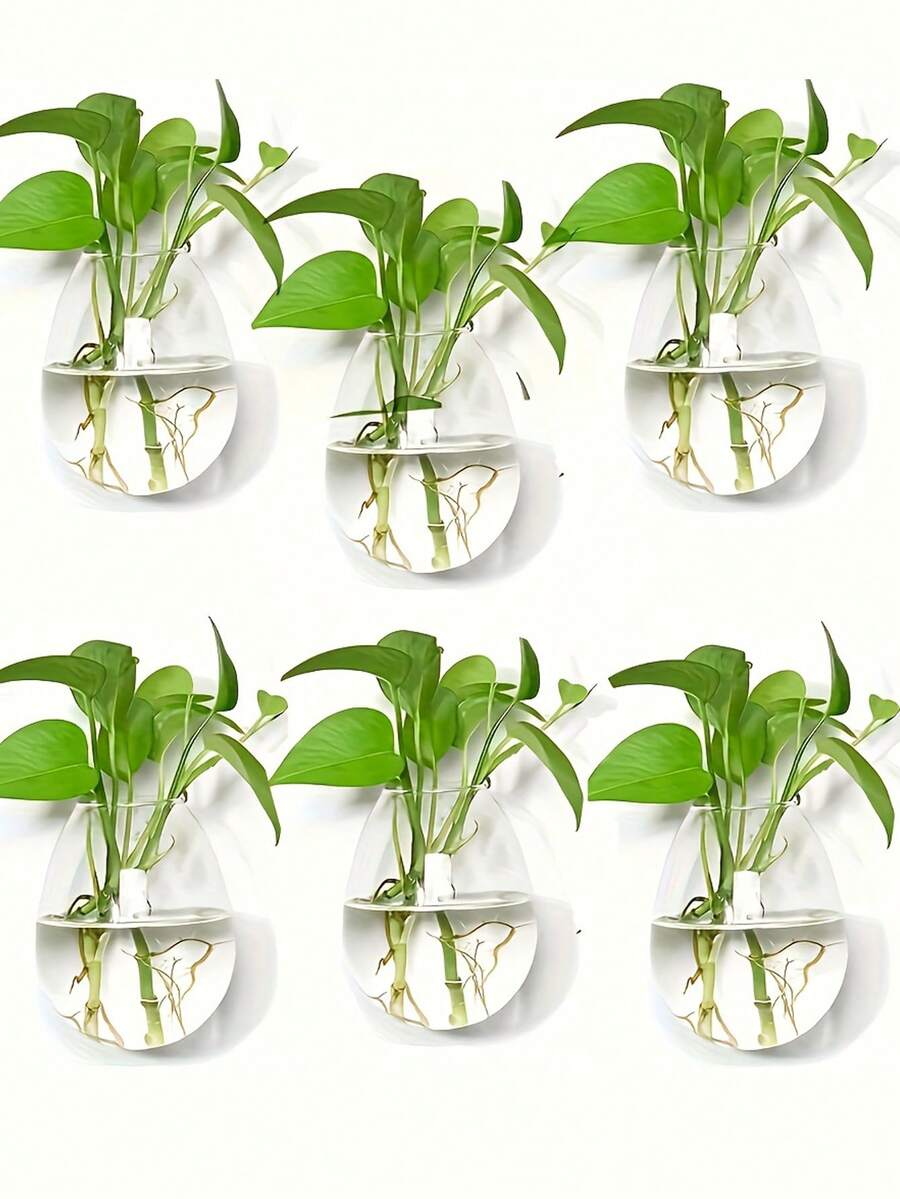 创意水培花瓶 水培植物容器 壁挂花瓶 桌面装饰花盆 适用于办公室、书房、客厅、卧室 - 無色 - 查看 1