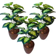 No One Can Plant With Me Artificial Arrangement + Large Vase - 綠色 - 查看 4