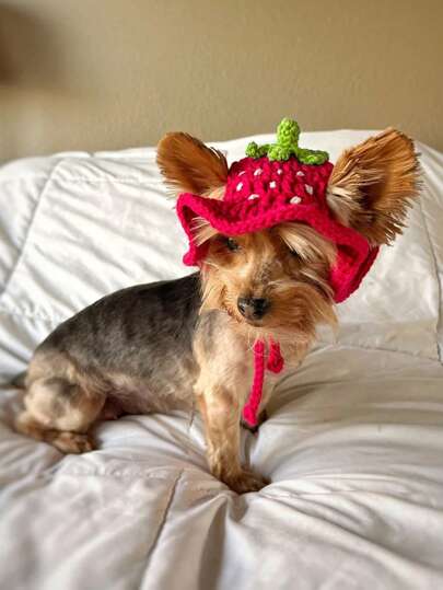 1pc Pet Hat, Hand-Crocheted Knitted Hat,Red Strawberry, Purple Eggplant Style Pet Accessories Pet Birthday Gift