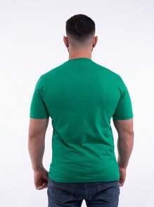 Camisetas Lisa Masculinas Gola Redonda Fio 30.1 Diversas Cores