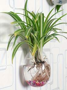 创意水培花瓶 水培植物容器 壁挂花瓶 桌面装饰花盆 适用于办公室、书房、客厅、卧室 - 無色 - 查看 9