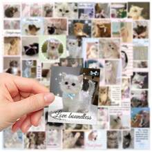 50pcs Cute Cat Sticker Cartoon Stickers DIY Decoration Computer Scrapbook Laptop Luggage Guitar Water Cup Phone Case Waterproof Stickers Back To School
