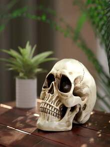 1pc Life-Size Resin Human Skull Model, Realistic Adult Human Skull Model, Gothic Halloween Room Decor, Creepy Face (Random Packaging) - Multicolor - View 5