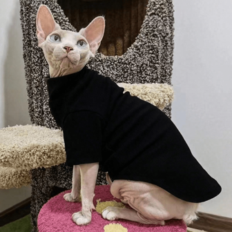 1 件纯色羊毛保暖宠物 T 恤运动衫，适合小动物