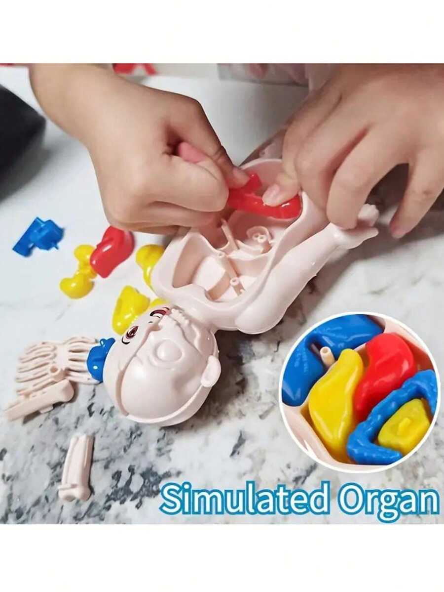 14 件人体解剖器官结构模型，儿童早期教育玩具，科学认知玩具，DIY 组装 STEAM 医疗玩具 - 彩色 - 查看 1