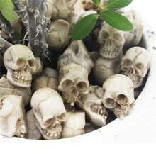 20 Mảnh Đồ Trang Trí Đầu Lâu Bằng Nhựa Mini, Bộ Đầu Lâu, Tượng Đầu Lâu Đầu Lâu Thu Nhỏ, Trưng Bày Đầu Lâu Bằng Nhựa Chủ Đề Halloween, Đầu Lâu Trang Trí, Phụ Kiện Sân Vườn Chậu Hoa Pavers Trang Trí Cảnh Quan Ngoài Trời, Thích Hợp Cho Đạo Cụ Halloween Thủ Công Quầy Bar Trang Trí Bàn Nhà Phụ Kiện Sân Vườn - Nhiều màu - Xem 10